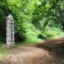 성녀루이제의집 | 화성시 정남면 서봉산 산림욕장