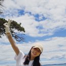 골프 치기 좋은 나라 추천: 골프천국 뉴질랜드 라운딩 후기 및 주의사항