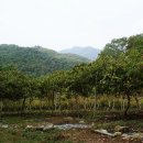 산골사랑농원