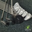 아이언 플렉스(IRON FLEX) 이미지