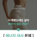 인천다이어트병원 찾는다면? 송도 비만클리닉 다이어트수액 후기