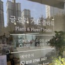 자연과 사람을 위한세탁 | 대전 봉명동 꽃집 소중한 사람을 위한 로맨틱한 선물, 글로리가든 방문 후기