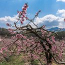 감곡농장 이미지