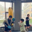 퍼펙트복싱짐 이미지