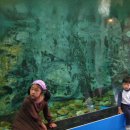 용문산관광지 야영장 이미지