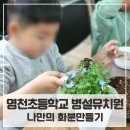 영천초교병설유치원 이미지