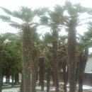 땅끝기와집 이미지