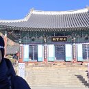 효행길 Daum카페