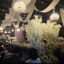 에스웜예산지사 | [홀투어] 💍 대전 선샤인 호텔 대전 계약 후기, 고민 끝에 여기로(계약O) |대전선샤인|대전웨딩홀|대전홀...