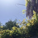 안경나라송천점 | 20240427 대혜자의 날