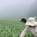 세은농장 이미지