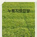 초이농장 네이버블로그