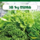 주식회사 그린환경 이미지