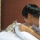 오래오 이미지