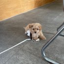 보다.쓰다.말하다:너에게 쓰는 편지 | 1월은 2월의 체험판일 뿐이야 (0201~0222)