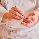 패밀리아 이미지