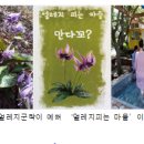 꽃피는산골농촌체험휴양마을 이미지