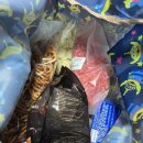 르본상사 이미지