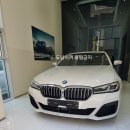 티앤피개러지 | BMW 520i msp 2021년식 출고후기 / 내돈내산