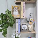 냥클래스 | 양모펠트 액자 원데이클래스_댕&amp;냥_수업후기