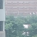 신천로 이미지