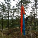 강병희 | [제주 여행] [10] 올레 제 1코스 말미오름과 무인카페 5월의 꽃