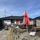 제주작은별 이미지