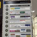 보람동_보람초등학교 앞 정류장 | 세종 파충류샵 디어렙 보람점 방문하기 크레스티드게코 분양 사육장 꾸미기