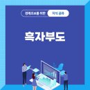 부도 티스토리