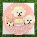 디어 마이 독 | [ 내돈 내산 ] 소중한 첫 생일, 평택 디어마이독 레터링 케이크로 더 특별하게🐶