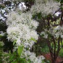 경산세탁소 이미지