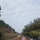 송정해수욕장 2호 이미지