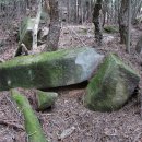 장산토성 이미지