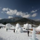 정선게임장 이미지