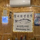 이선생도시어장 이미지