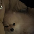 흥덕1로 48번길 이미지