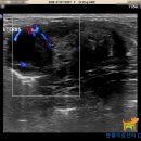 Dr. dog 동물영상의료센터 이미지
