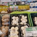 보해마트 이미지