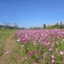 여주-1120 이미지