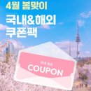 국제컴퓨터세탁 | 도쿄 호텔 추천 가성비 도쿄역 도보 10분 소테츠 프레사 인 도쿄 쿄바시 후기
