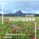 진안 가을꽃 축제 2025 마이산 꽃밭에서 즐긴 인생샷 명소