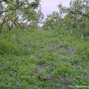 새실농장 이미지