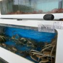 딸부자 펜션 이미지