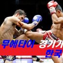 원송차이프로모션