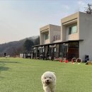 이랑둔내펜션 이미지