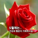 이슬비가 이미지