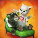 달달한 고양이 이미지