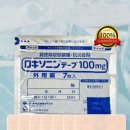 일본 로키소닌 EX 파스 21매입 완벽 리뷰(후기 포함) 이미지