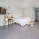 펫티움애견펜션 이미지