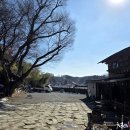 너구리칼국수